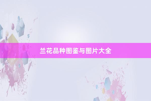 兰花品种图鉴与图片大全