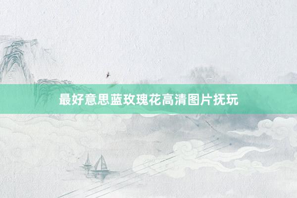 最好意思蓝玫瑰花高清图片抚玩