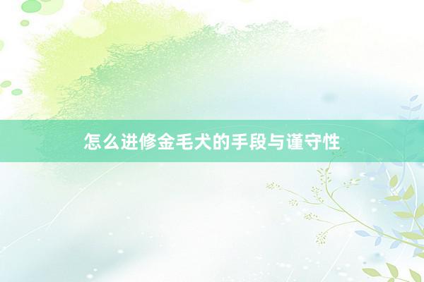 怎么进修金毛犬的手段与谨守性