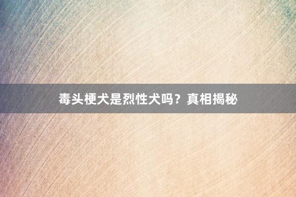 毒头梗犬是烈性犬吗？真相揭秘